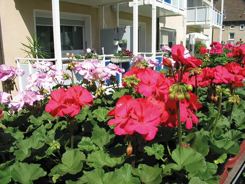 WoGe-Iserlohn-Genossenschaft-Wohnen-auf-Lebenszeit